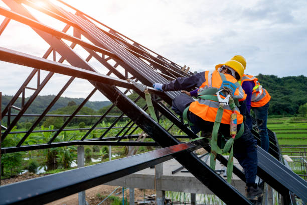 Best Gutter Installation and Roofing  in Wacousta, MI