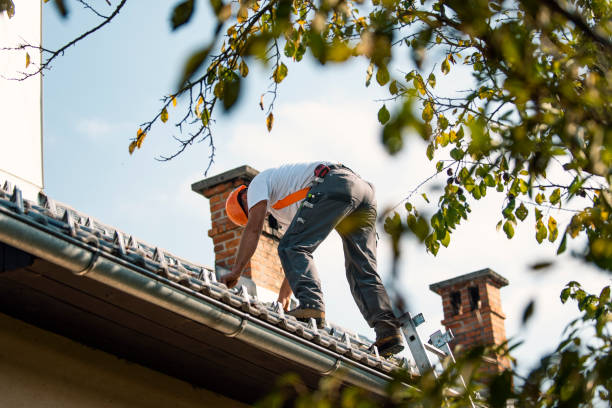 Best Sealant for Roof  in Wacousta, MI