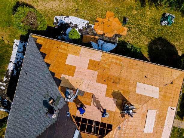 Best Flat Roof Repair Services  in Wacousta, MI