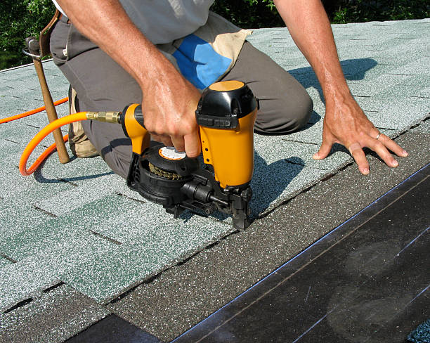 Best Storm Damage Roof Repair  in Wacousta, MI