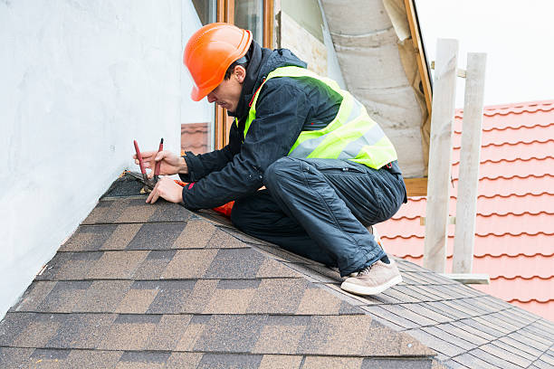 Best Commercial Roofing Services  in Wacousta, MI