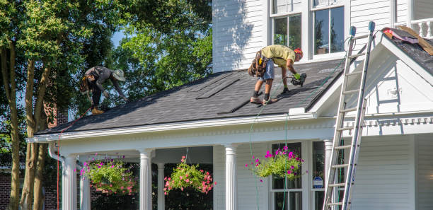 Best Roof Repair Services  in Wacousta, MI
